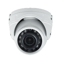 ST-S2501 (2.8) (белый) Видеокамера IP купольная