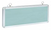Светильник аварийного освещения EXIT-100 (EXIT-SS-100-LED)