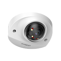 DH-IPC-HDBW2249FP-AS-IL-0360B Профессиональная видеокамера IP купольная