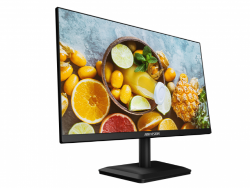 DS-D5024FC-C Монитор TFT LED