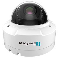 EHN-1250 Видеокамера IP купольная