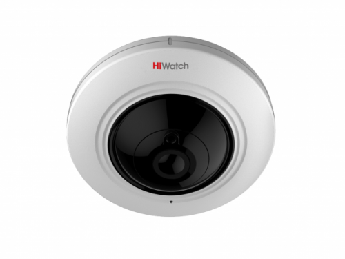 DS-I351 Бюджетная IP-видеокамера купольная DS-I351 Бюджетная IP-видеокамера купольная