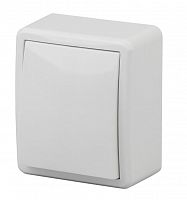 Выключатель 1-кл. ОУ Эксперт IP20 11-1201-01 250В 10АХ белый ЭРА (Б0020653)