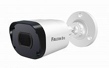 FE-IPC-BP2e-30p Видеокамера IP цилиндрическая