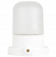 НББ 02-60-001 (Б0064005) Светильник