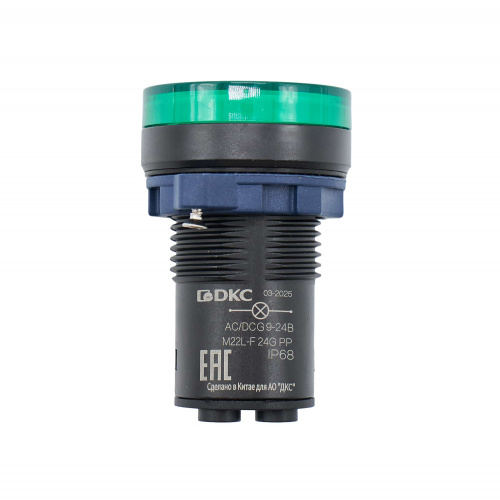 M22L-F24GPP фото 4