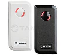 Автономный контроллер TANTOS TS-CTR-EM
