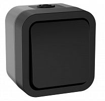 TORS Выключатель 1-клавишный двухполюсный TS111 открытой установки 10А IP55 графит (TS-V16-0-10-55-K53) Выключатель двухполюсный одноклавишный серии TORS