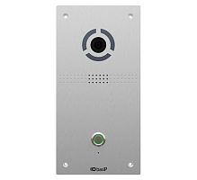 AV-04FD SILVER Вызывная панель IP-домофона