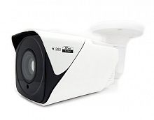 CO-RS24P Видеокамера IP цилиндрическая