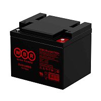 WBR EVX12450S Аккумулятор
