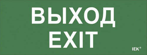 Самоклеящаяся этикетка "Выход-EXIT" (LPC10-1-24-09-VYHD) Самоклеящаяся этикетка 240х90 мм