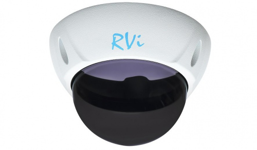 RVi-1DS4w Тонированный купол с белой рамкой
