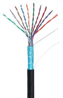 F/UTP 10pair, Cat5, Out, PE (EC-UF010-5-PE-BK-3) Кабель «витая пара» (LAN) для структурированных систем связи