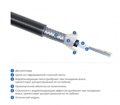 CLT-A-5-01х12-Z-PE-ARM-PE-DD-OUT-40 (12827c)