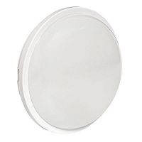 ДПО-2012 LUMA (BKL-2012-R-25-6500) Светильник