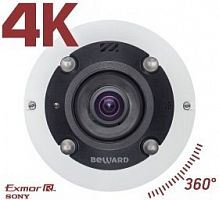 BD3990FL2 IP-камера купольная