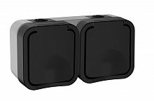 TORS Розетка 2-местная горизонтальная TS122 открытой установки 16А IP55 графит (TS-R26-16-55-G-K53) Розетка 2-местная горизонтальная серии TORS