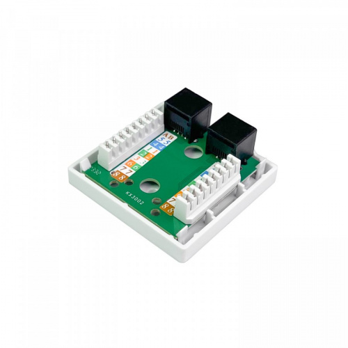 NTSS-CS2-PM-UTP-2RJ45-5e Компьютерная розетка фото 2