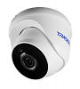 Видеокамеры IP купольные «TRASSIR»