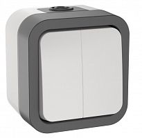 TORS Выключатель 1-клавишный TS205 открытой установки 10А IP55 серо-белый (TS-V20-0-10-55-K41) Выключатель двухклавишный серии TORS