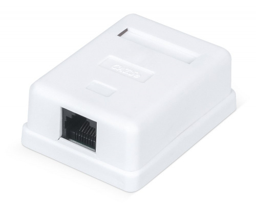 WR-WS-8P8C-C5E-1 Розетка RJ-45 WR-WS-8P8C-C5E-1 Розетка RJ-45